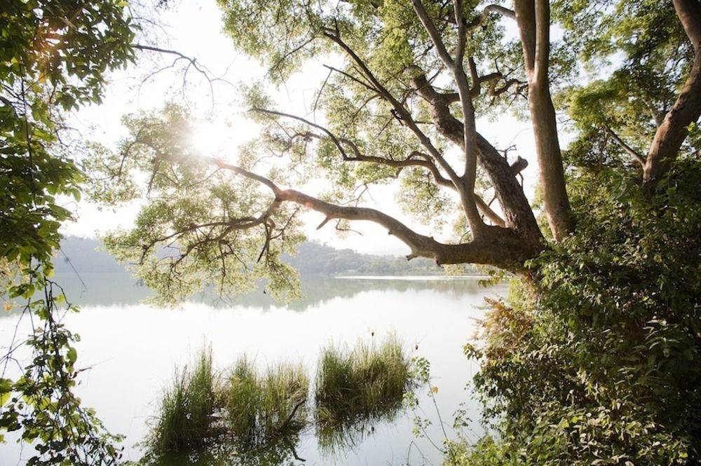 Lake Duluti Lodge Αρούσα Εξωτερικό φωτογραφία